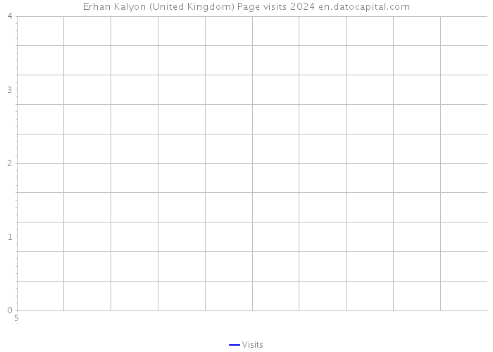 Erhan Kalyon (United Kingdom) Page visits 2024 