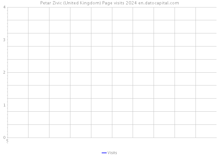 Petar Zivic (United Kingdom) Page visits 2024 