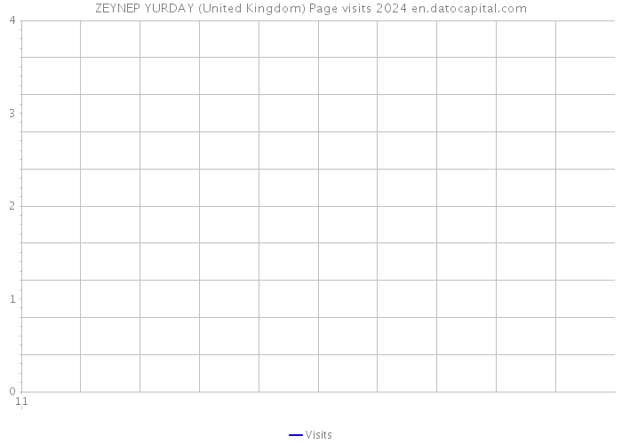ZEYNEP YURDAY (United Kingdom) Page visits 2024 