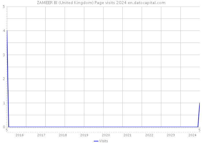 ZAMEER BI (United Kingdom) Page visits 2024 
