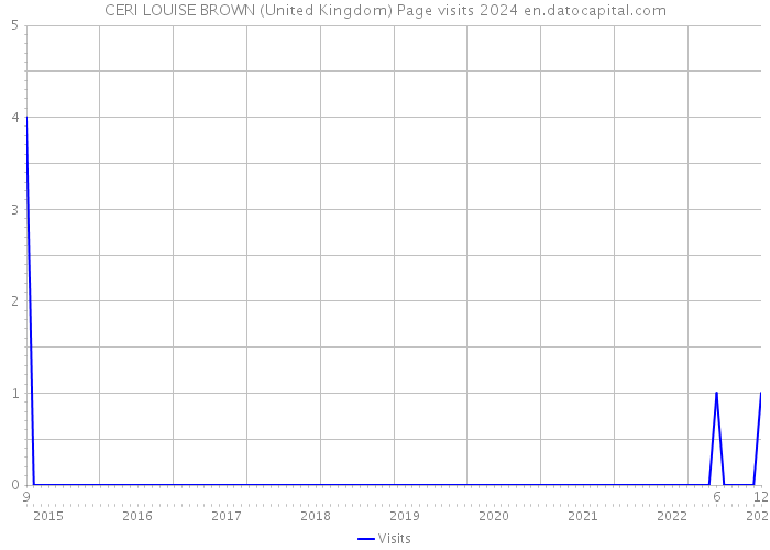 CERI LOUISE BROWN (United Kingdom) Page visits 2024 