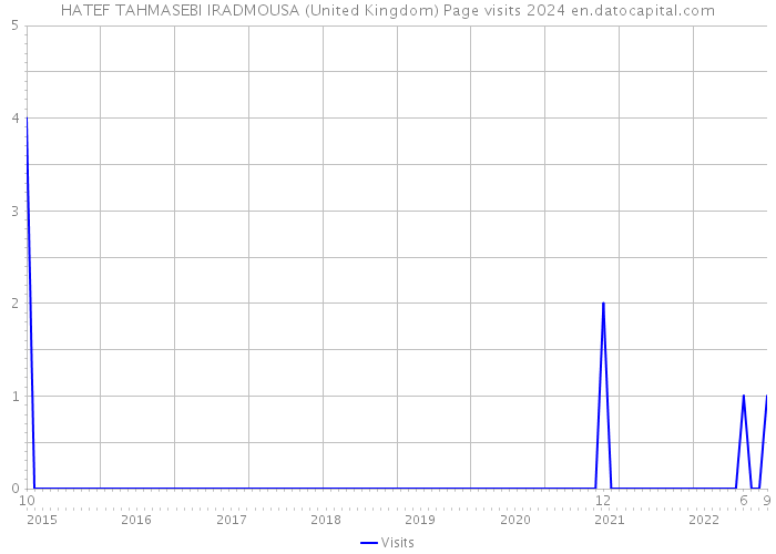 HATEF TAHMASEBI IRADMOUSA (United Kingdom) Page visits 2024 