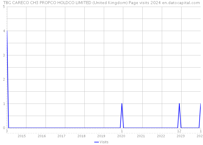 TBG CARECO CH3 PROPCO HOLDCO LIMITED (United Kingdom) Page visits 2024 