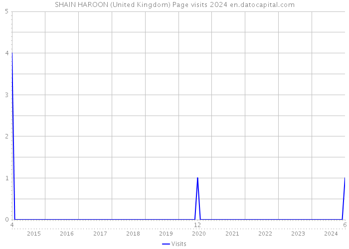SHAIN HAROON (United Kingdom) Page visits 2024 