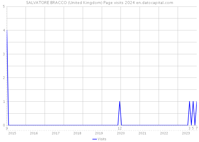 SALVATORE BRACCO (United Kingdom) Page visits 2024 
