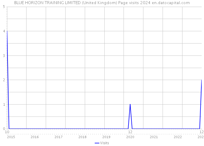 BLUE HORIZON TRAINING LIMITED (United Kingdom) Page visits 2024 