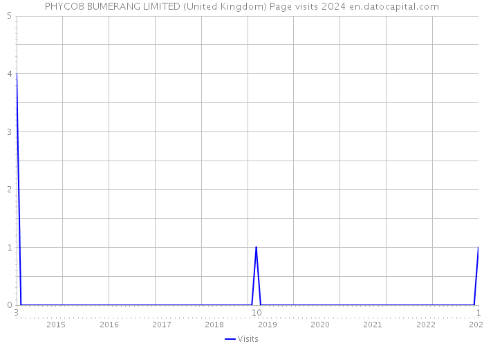 PHYCO8 BUMERANG LIMITED (United Kingdom) Page visits 2024 