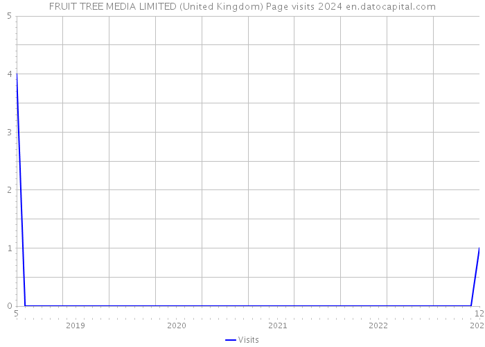 FRUIT TREE MEDIA LIMITED (United Kingdom) Page visits 2024 