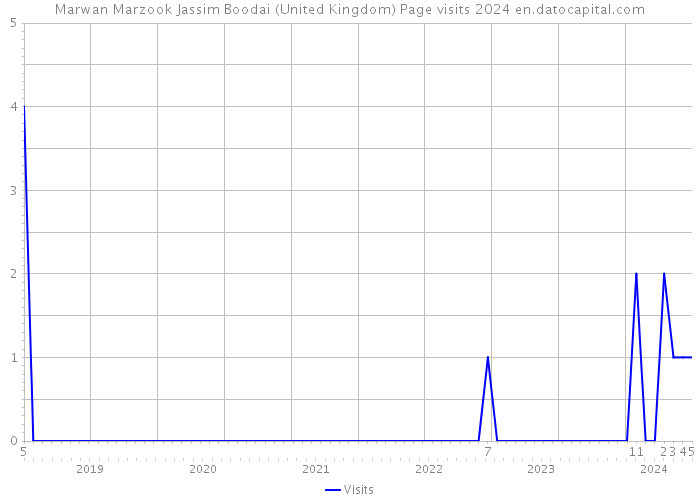 Marwan Marzook Jassim Boodai (United Kingdom) Page visits 2024 