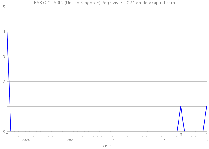 FABIO GUARIN (United Kingdom) Page visits 2024 