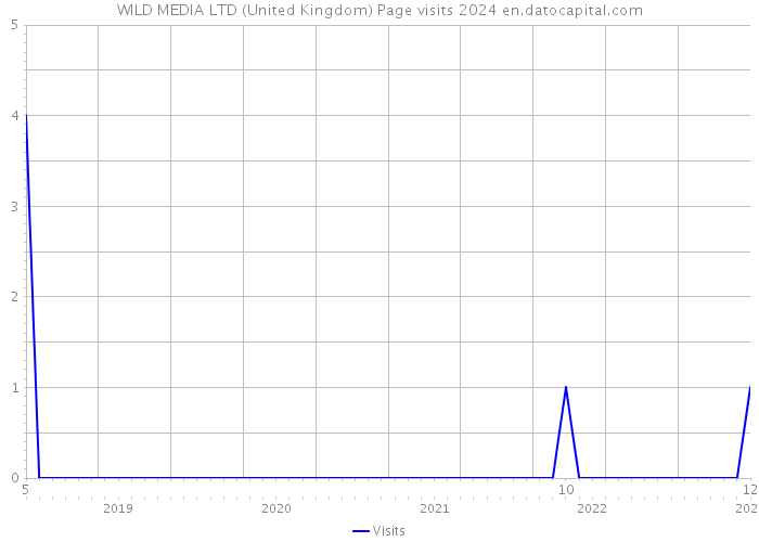 WILD MEDIA LTD (United Kingdom) Page visits 2024 