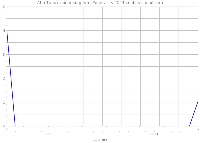Ahu Tunc (United Kingdom) Page visits 2024 