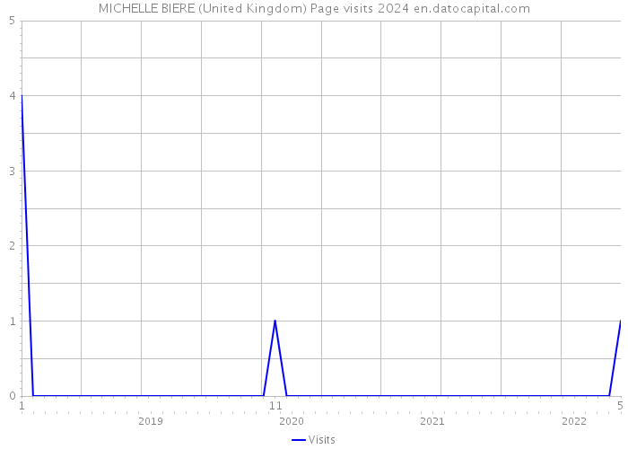 MICHELLE BIERE (United Kingdom) Page visits 2024 