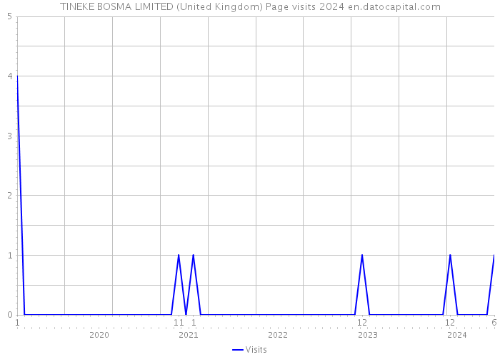 TINEKE BOSMA LIMITED (United Kingdom) Page visits 2024 