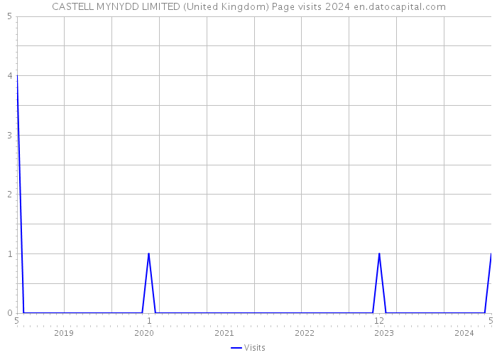 CASTELL MYNYDD LIMITED (United Kingdom) Page visits 2024 