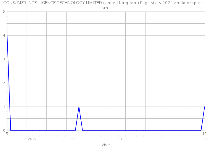 CONSUMER INTELLIGENCE TECHNOLOGY LIMITED (United Kingdom) Page visits 2024 
