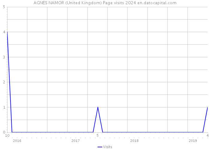AGNES NAMOR (United Kingdom) Page visits 2024 