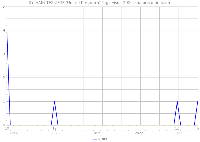 SYLVAIN TESNIERE (United Kingdom) Page visits 2024 