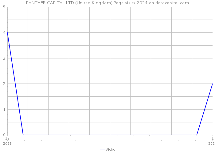 PANTHER CAPITAL LTD (United Kingdom) Page visits 2024 