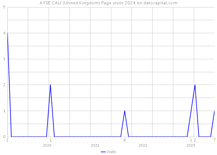 AYSE CALI (United Kingdom) Page visits 2024 