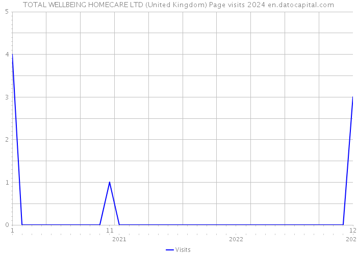 TOTAL WELLBEING HOMECARE LTD (United Kingdom) Page visits 2024 