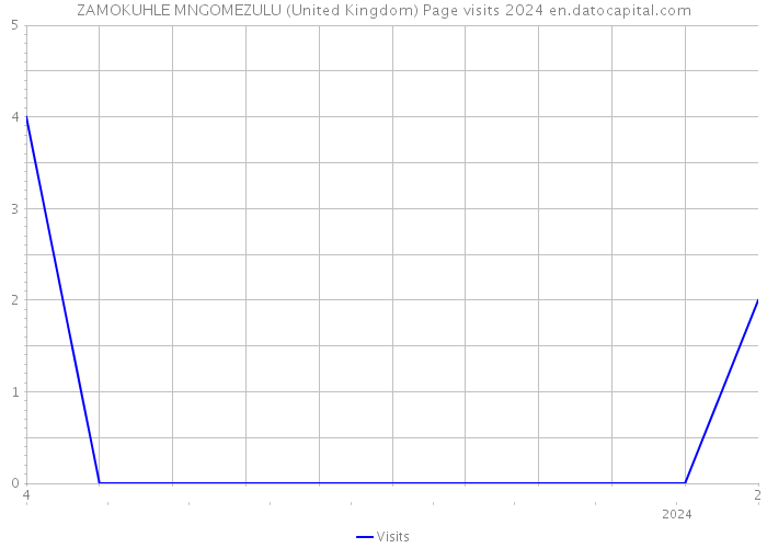 ZAMOKUHLE MNGOMEZULU (United Kingdom) Page visits 2024 