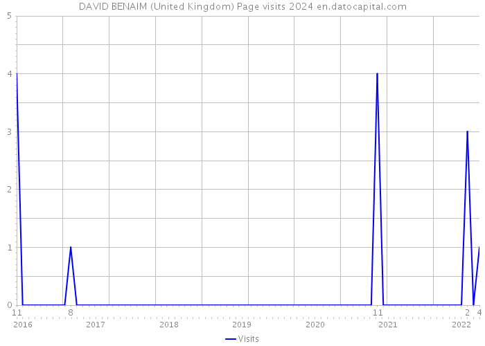 DAVID BENAIM (United Kingdom) Page visits 2024 