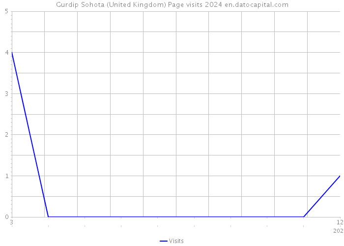 Gurdip Sohota (United Kingdom) Page visits 2024 