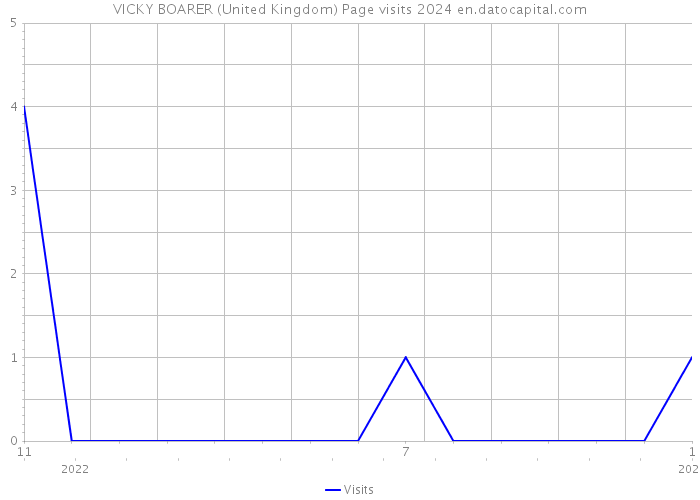 VICKY BOARER (United Kingdom) Page visits 2024 