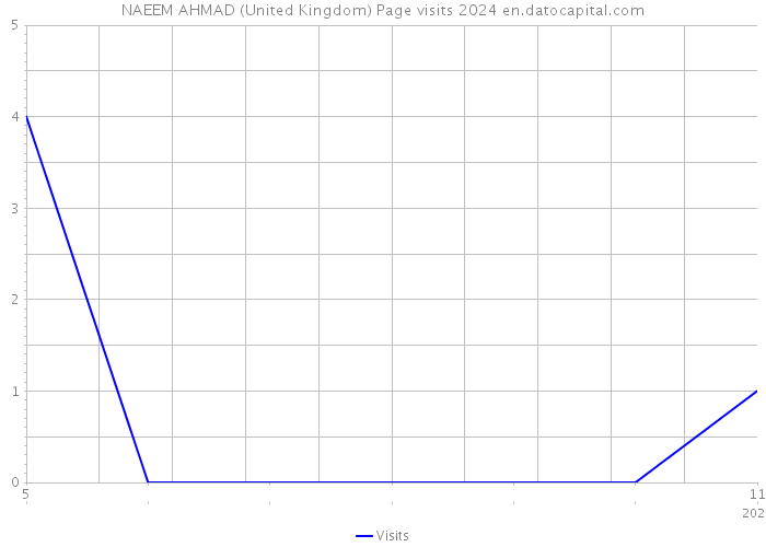 NAEEM AHMAD (United Kingdom) Page visits 2024 