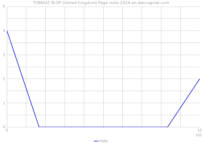 TOMASZ SKOP (United Kingdom) Page visits 2024 