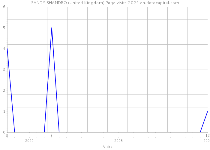 SANDY SHANDRO (United Kingdom) Page visits 2024 