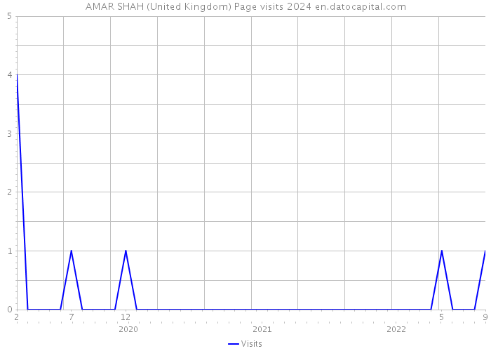 AMAR SHAH (United Kingdom) Page visits 2024 