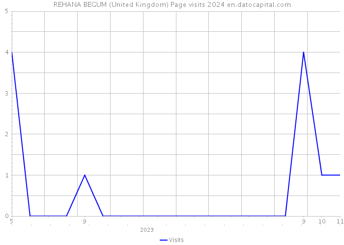 REHANA BEGUM (United Kingdom) Page visits 2024 
