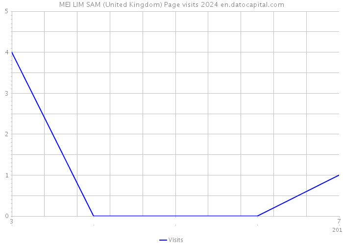 MEI LIM SAM (United Kingdom) Page visits 2024 