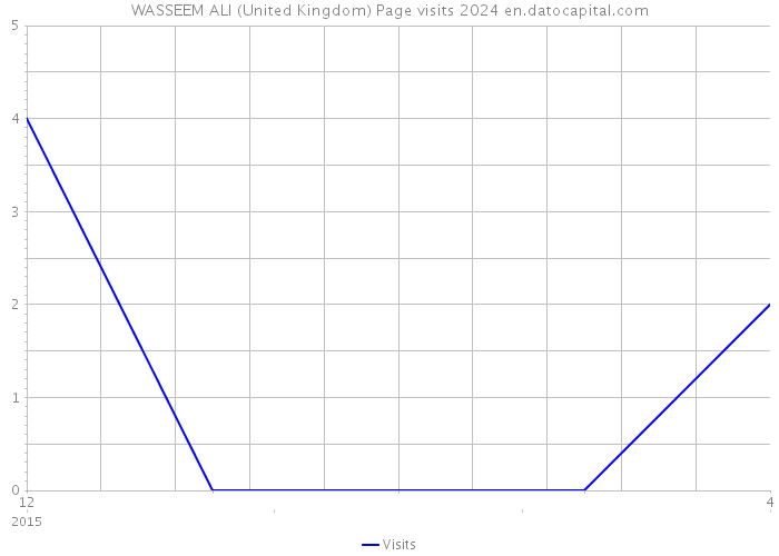 WASSEEM ALI (United Kingdom) Page visits 2024 