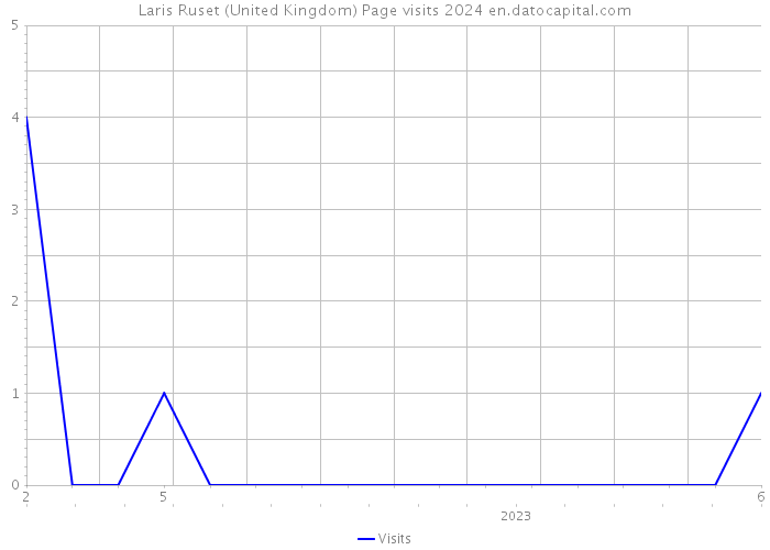 Laris Ruset (United Kingdom) Page visits 2024 