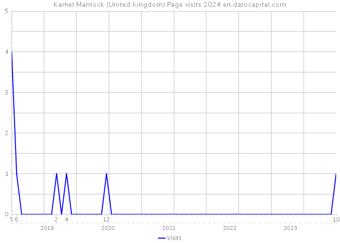Kamel Mantock (United Kingdom) Page visits 2024 