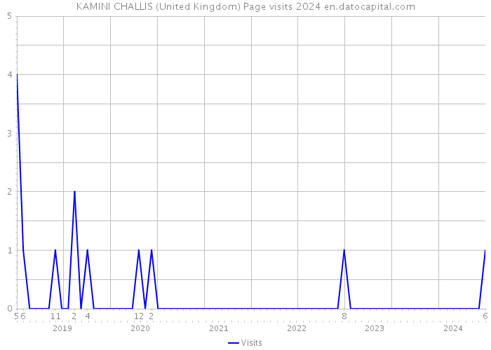 KAMINI CHALLIS (United Kingdom) Page visits 2024 