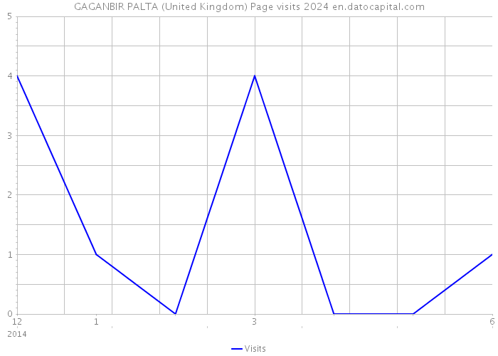GAGANBIR PALTA (United Kingdom) Page visits 2024 