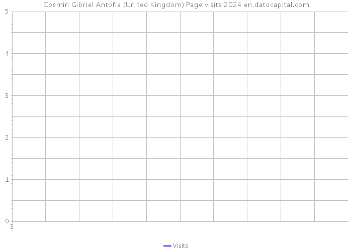 Cosmin Gibriel Antofie (United Kingdom) Page visits 2024 
