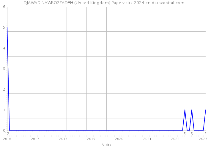 DJAWAD NAWROZZADEH (United Kingdom) Page visits 2024 