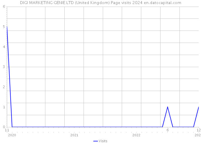 DIGI MARKETING GENIE LTD (United Kingdom) Page visits 2024 
