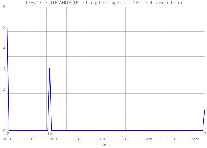 TREVOR KETTLE WHITE (United Kingdom) Page visits 2024 