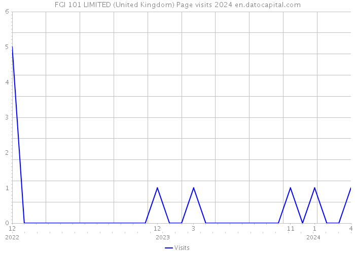 FGI 101 LIMITED (United Kingdom) Page visits 2024 