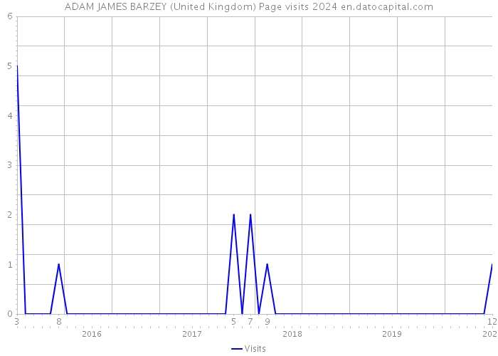 ADAM JAMES BARZEY (United Kingdom) Page visits 2024 