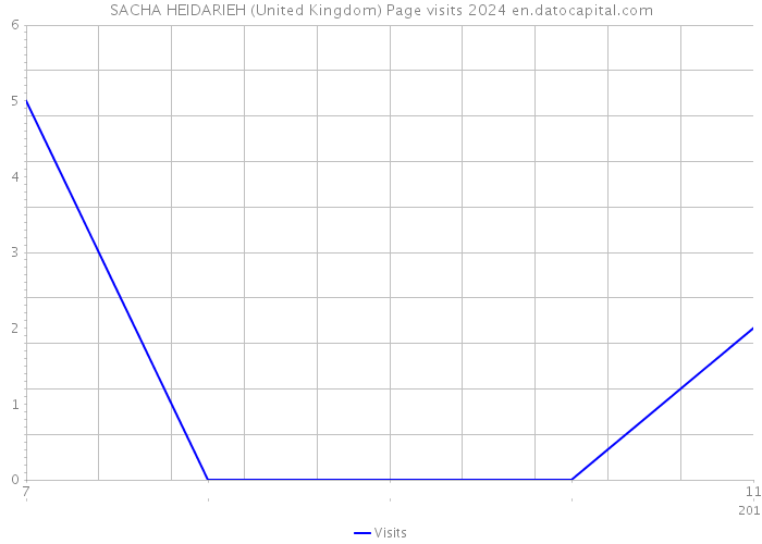 SACHA HEIDARIEH (United Kingdom) Page visits 2024 