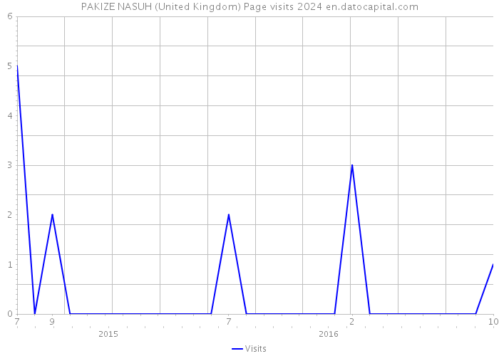 PAKIZE NASUH (United Kingdom) Page visits 2024 