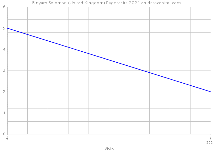 Binyam Solomon (United Kingdom) Page visits 2024 