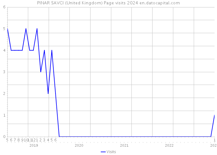 PINAR SAVCI (United Kingdom) Page visits 2024 